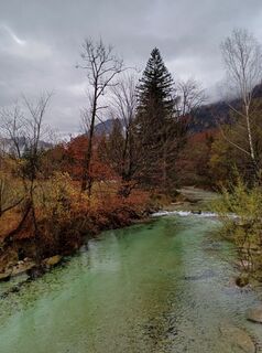 Photo de chrison le long du parcours