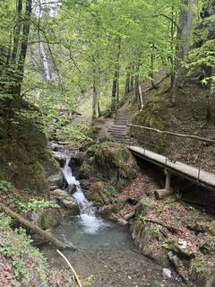 Foto von Erzsébet Harangozó entlang der Tour
