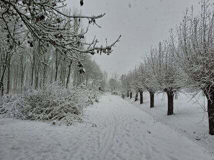 Zdjęcie z Peter spierenburg wzdłuż trasy