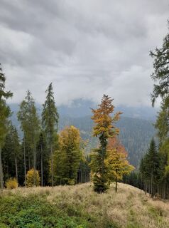 Foto de Wolfgang Schmied a lo largo del recorrido
