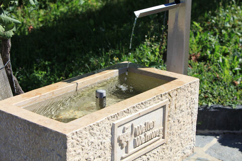 2010-09-03-Weinweg-Brunnen-O.Welti-1.1