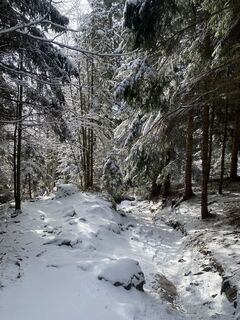 Foto von Marietta entlang der Tour