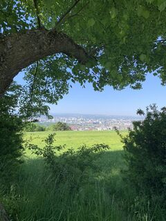 Foto de Franco Nicastro 1 a lo largo del recorrido