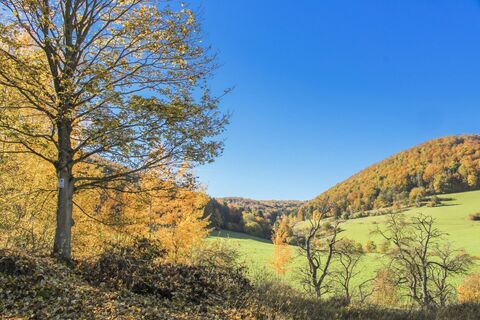 Rastplatz am Keltenweg