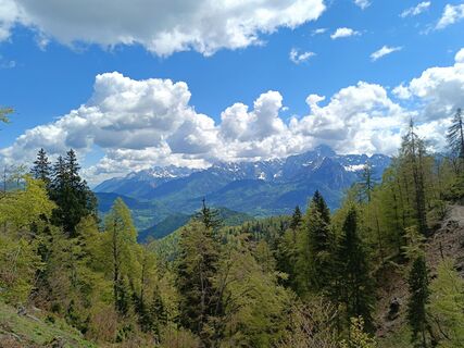 Foto von Raftandroll Hungary entlang der Tour
