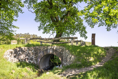 Napoleonbrücke