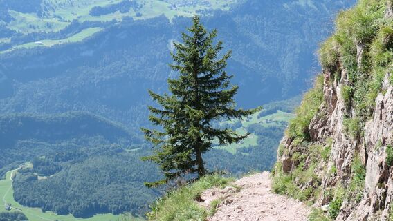 Foto von Arthur Muskalla entlang der Tour