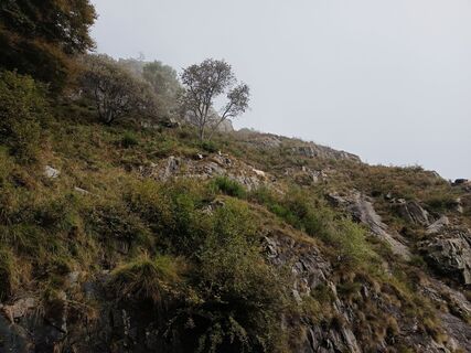 Foto von Aner entlang der Tour