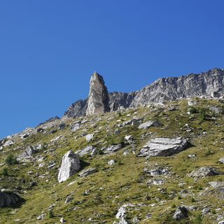 Selva - Cancian