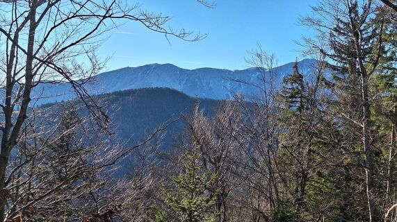 Fotografija s spletne strani Regina Fleischmann na poti