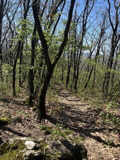 Fotografia z Zsuzsanna Hrivnyák na trase