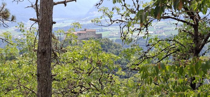 Fotografija s spletne strani David Bubenheim na poti