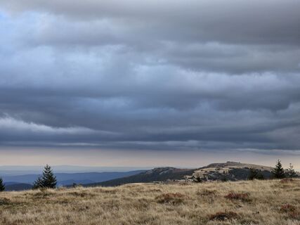 Fotografija s spletne strani TwilightTea na poti