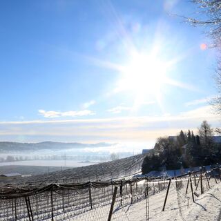 Winterwanderweg Kernkapelle, Oststeiermark