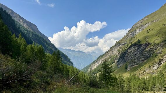 Foto von thschoe entlang der Tour