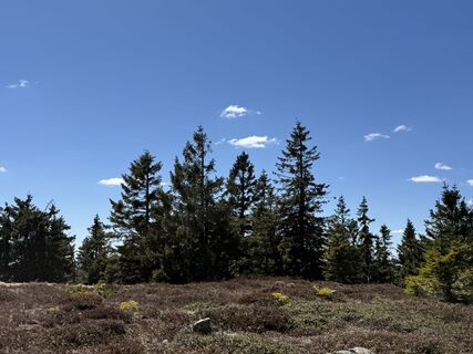 Foto de Norbert Herbig a lo largo del recorrido
