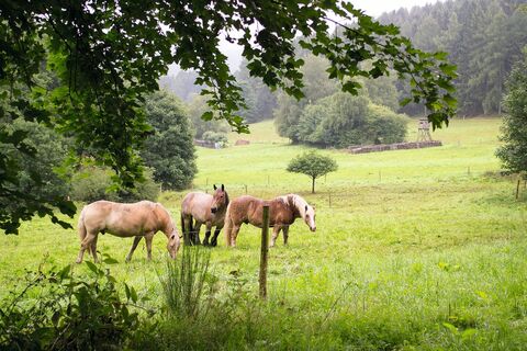 Erzquellweg