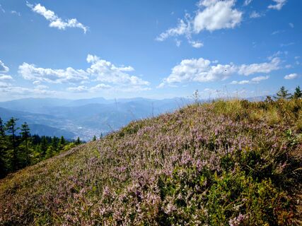 Bruck an der Mur, Steiermark/Österreich