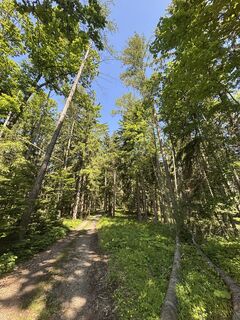 Fotografia z RS76 na trase