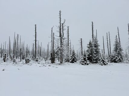 Photo de Dani Geiger / Natur_erleben_dg le long du parcours