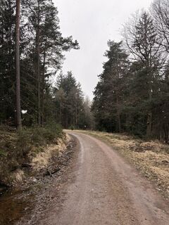 Fotografija s spletne strani Felix Rietz na poti