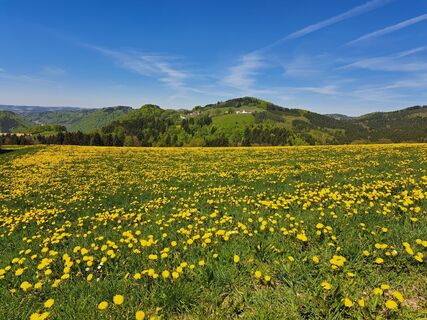 Foto von Bellou entlang der Tour