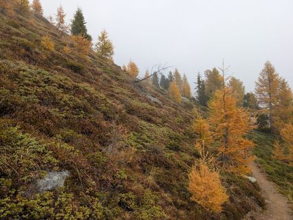 Foto von Leif entlang der Tour