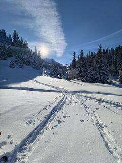 Foto von Sascha Kainz entlang der Tour