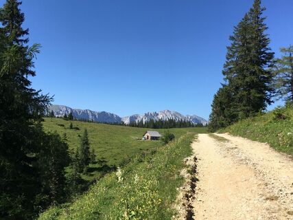 Kurz vor der Kuhalm