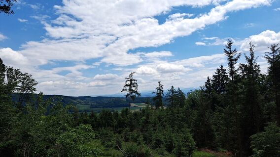 Foto fra Anita Lunzer 1 undervejs på turen