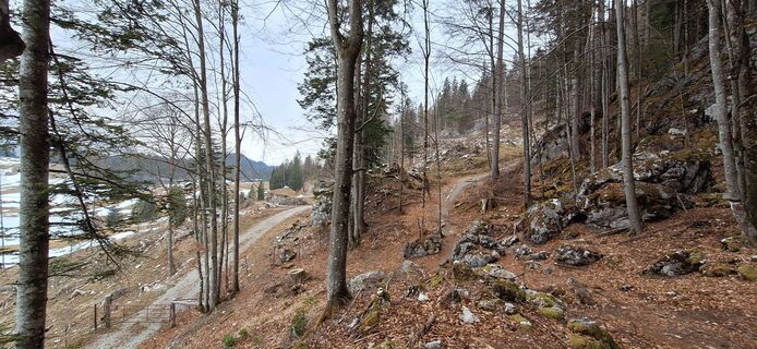Zdjęcie z Deutsch Margit wzdłuż trasy
