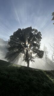 Fotografia z Reiner Schwarz na trase