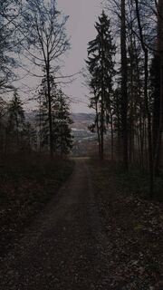 Foto de robin Zuhn a lo largo del recorrido