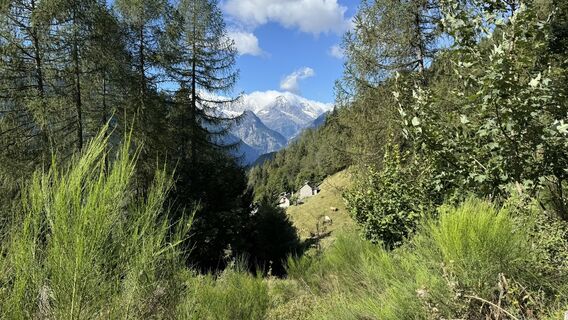 Foto von peter_oe entlang der Tour