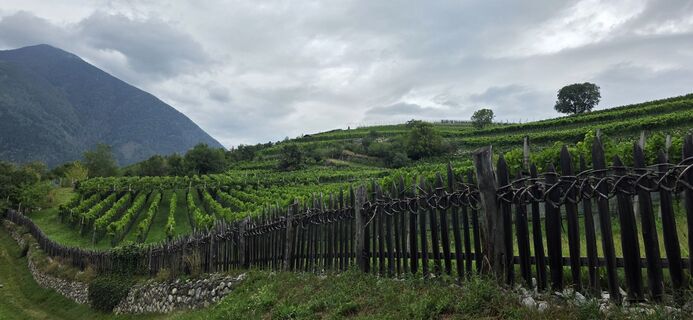 Foto von Moritz entlang der Tour
