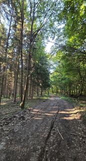 Foto de János Zsolt Mahr a lo largo del recorrido