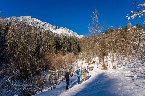 Scheffau_Winterwandern_Gaisberg_Rehbach_Wilder Kaiser