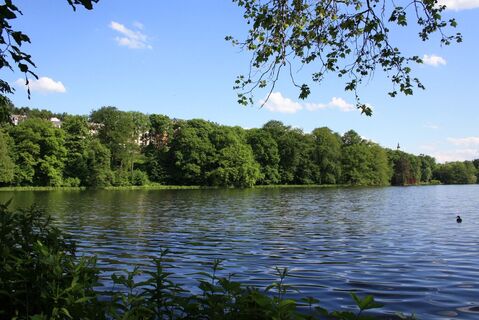 Der Greizer Park
