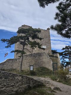 Fotografia z Stefan Grabner 1 na trase