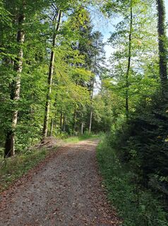 Foto von Wanderbursche66 entlang der Tour