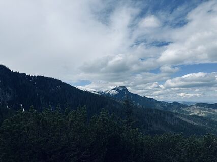 Foto von Wax Japow entlang der Tour