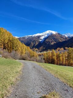 Fotografia z Powerwalker na trase