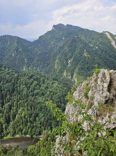 Fotografia z Whitney Dreams na trase