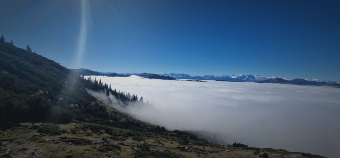 Photo de Isabella Schwaiger-Moser le long du parcours