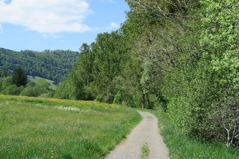 Entlang der idyllischen Bernauer Alb