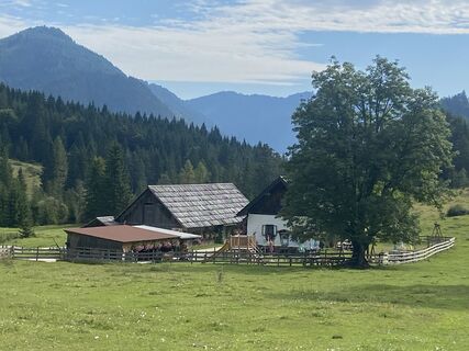 Foto von AMO entlang der Tour