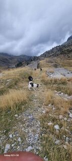 Fotografija s spletne strani Yves Esturonne na poti