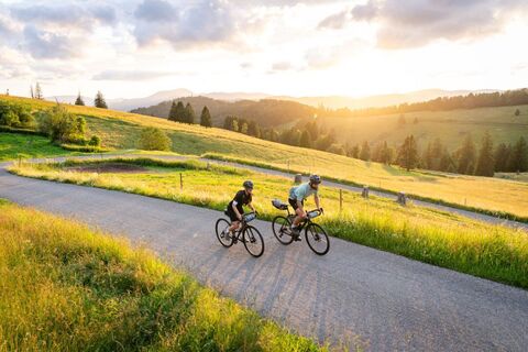 Radtour bei Todtnau Gisiboden