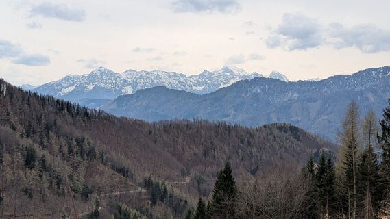 Fotografie z Ziegler Em1304 na trase