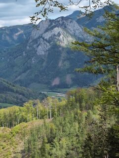 Photo de berggeist82 le long du parcours
